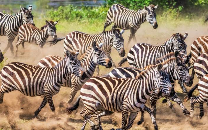 7-day Premium Luxury All-inclusive Safari