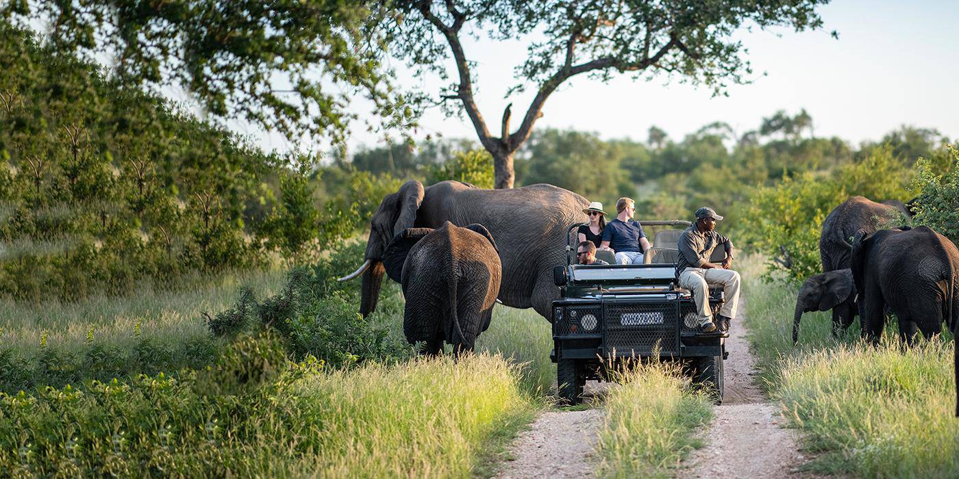 Safari Trip To Kruger National Park In South Africa