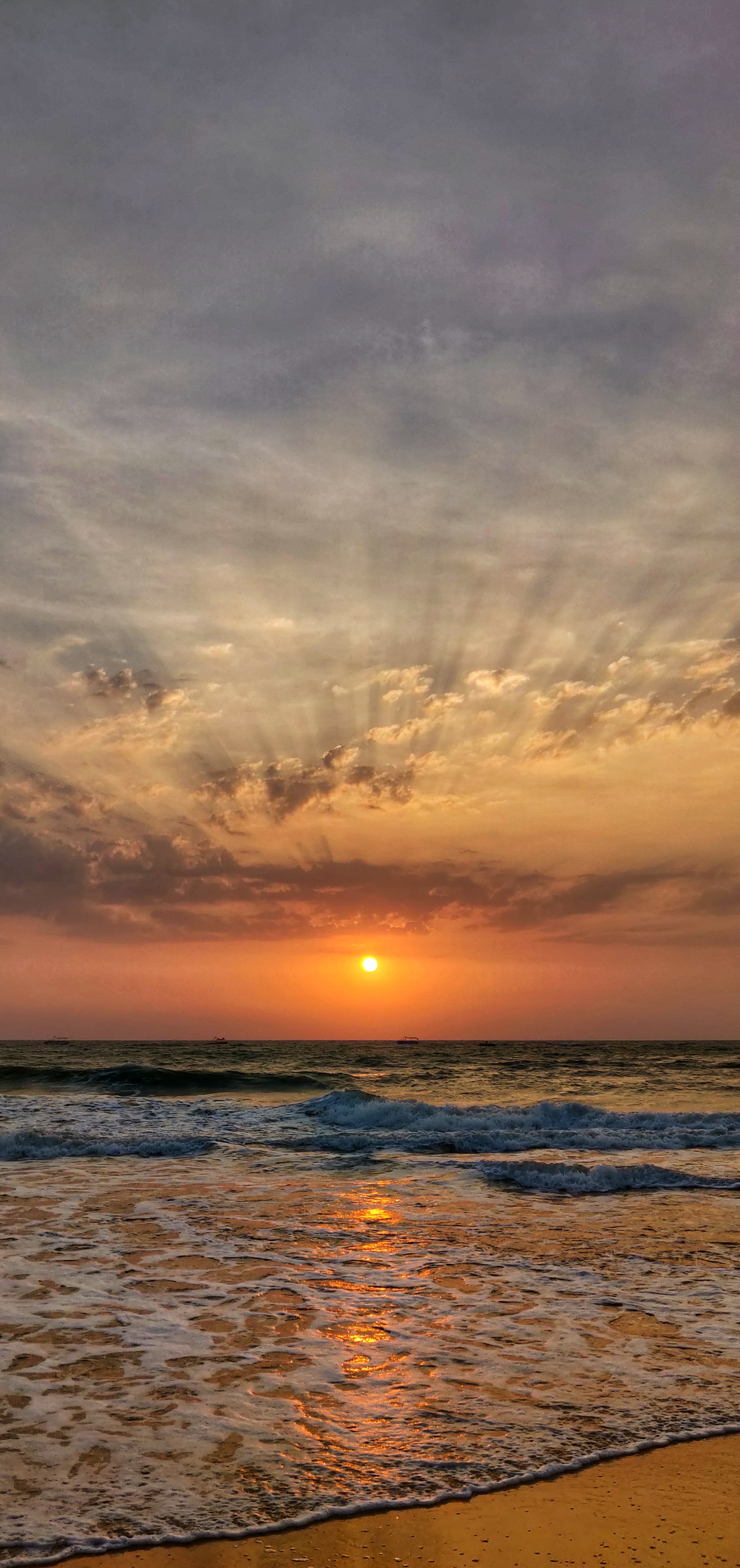 Goa Delight