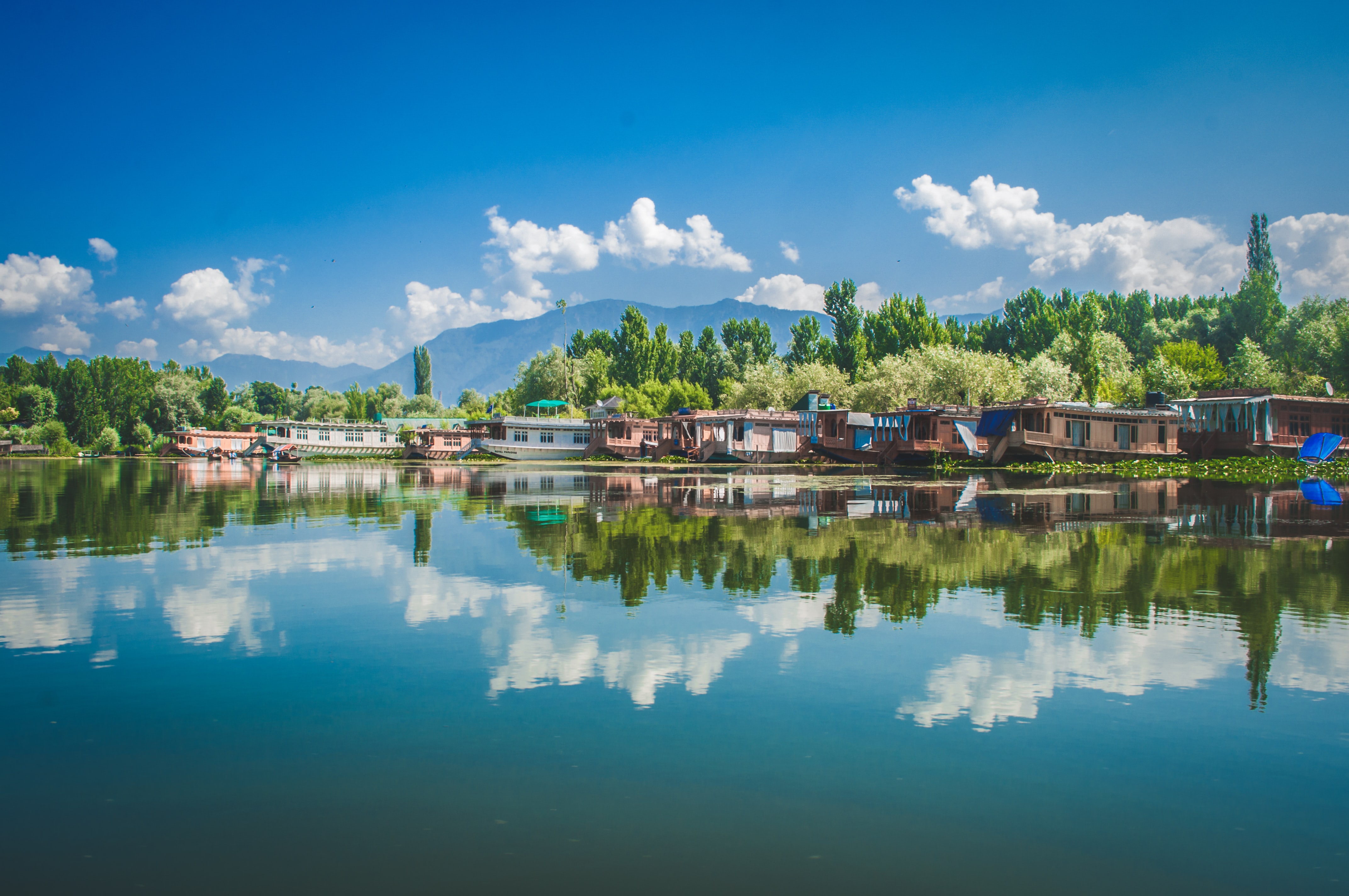 Kashmir Shoveler Tour And Travel