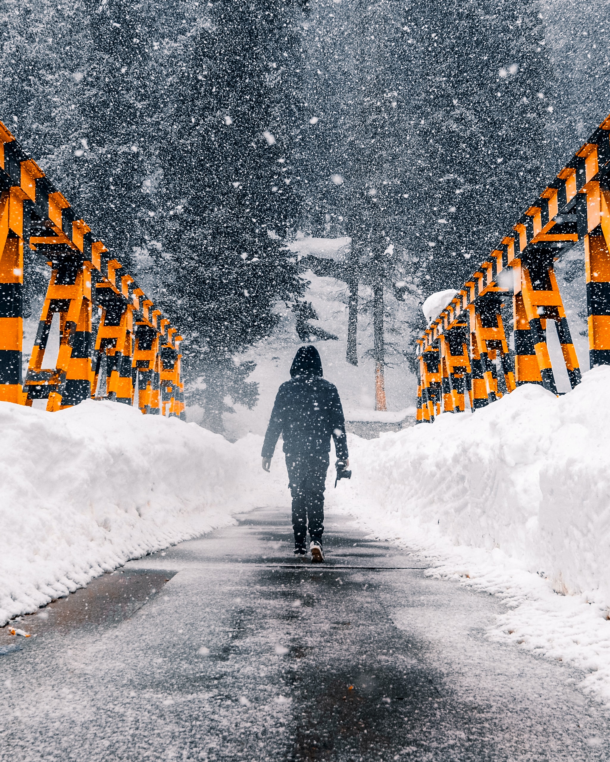 Kashmir Shoveler Tour And Travel