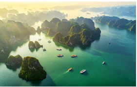 Packages To Any Destination