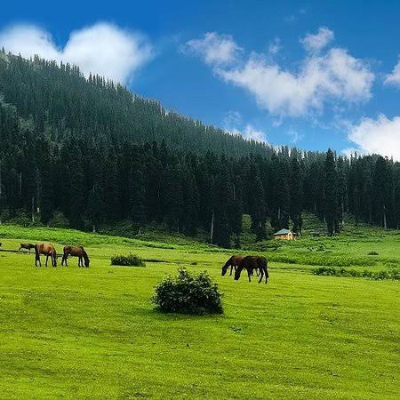 Kashmir Paradise On Earth