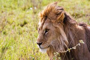 10 Day Tanzania Safari And Zanzibar Beach Holiday Packages