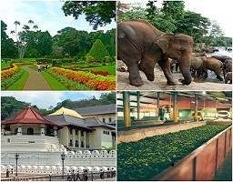 Sri Lanka Itinerary For 6 Days & 5 Nights