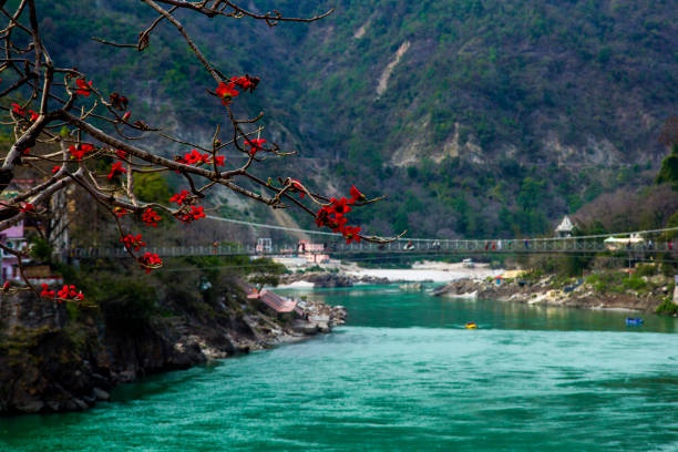 Uttarakhand - Pangarchulla Peak Trek - Sharing Basis