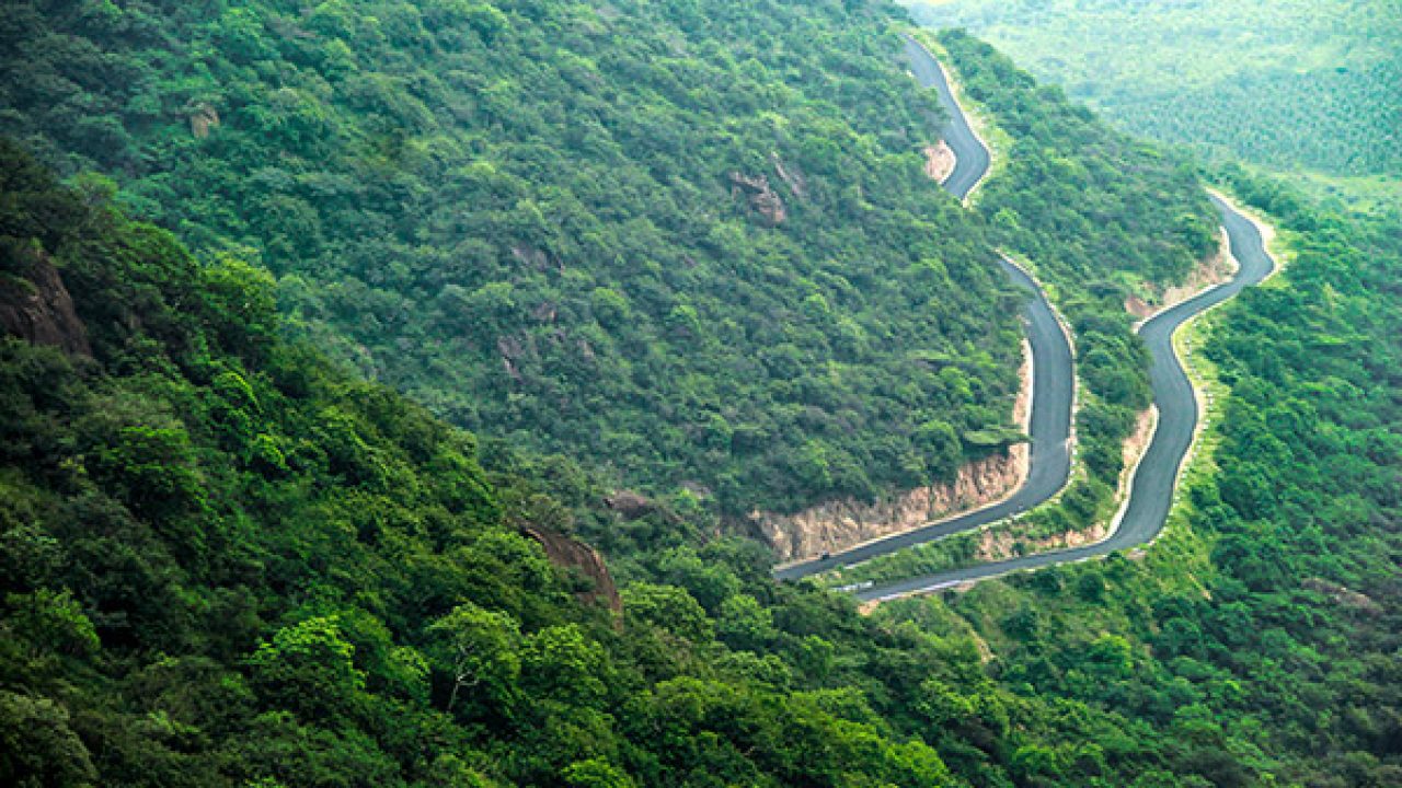 Mesmerizing Kerala