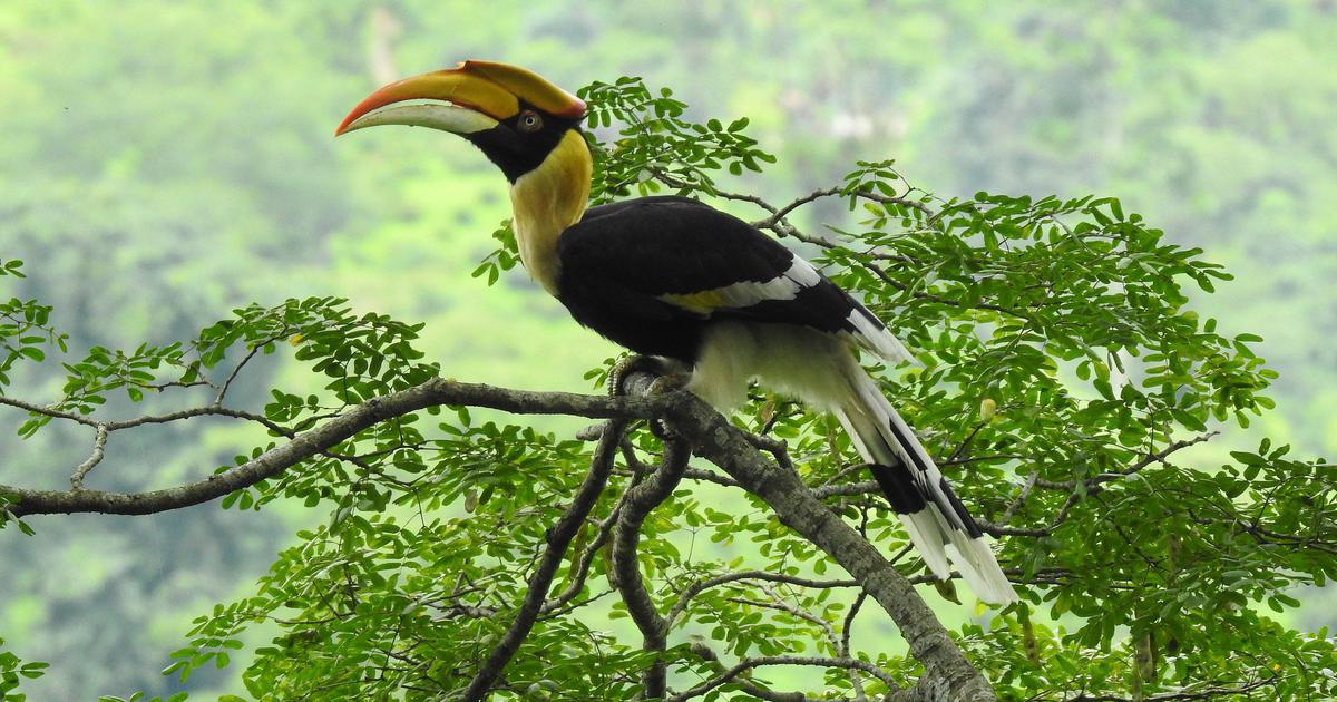 2-day Nyerere National Park From Zanzibar