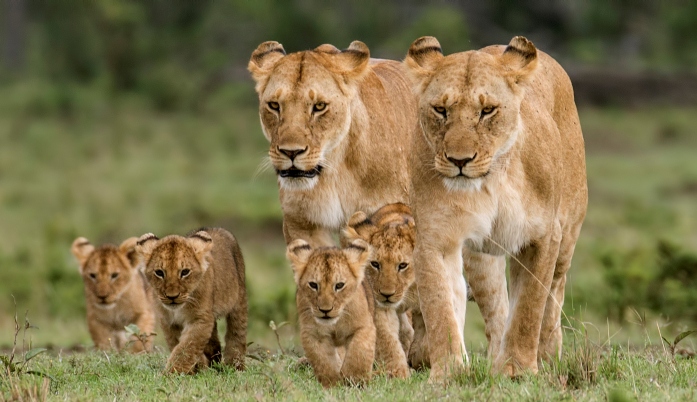 2-day Birdwatching And Safari Tour