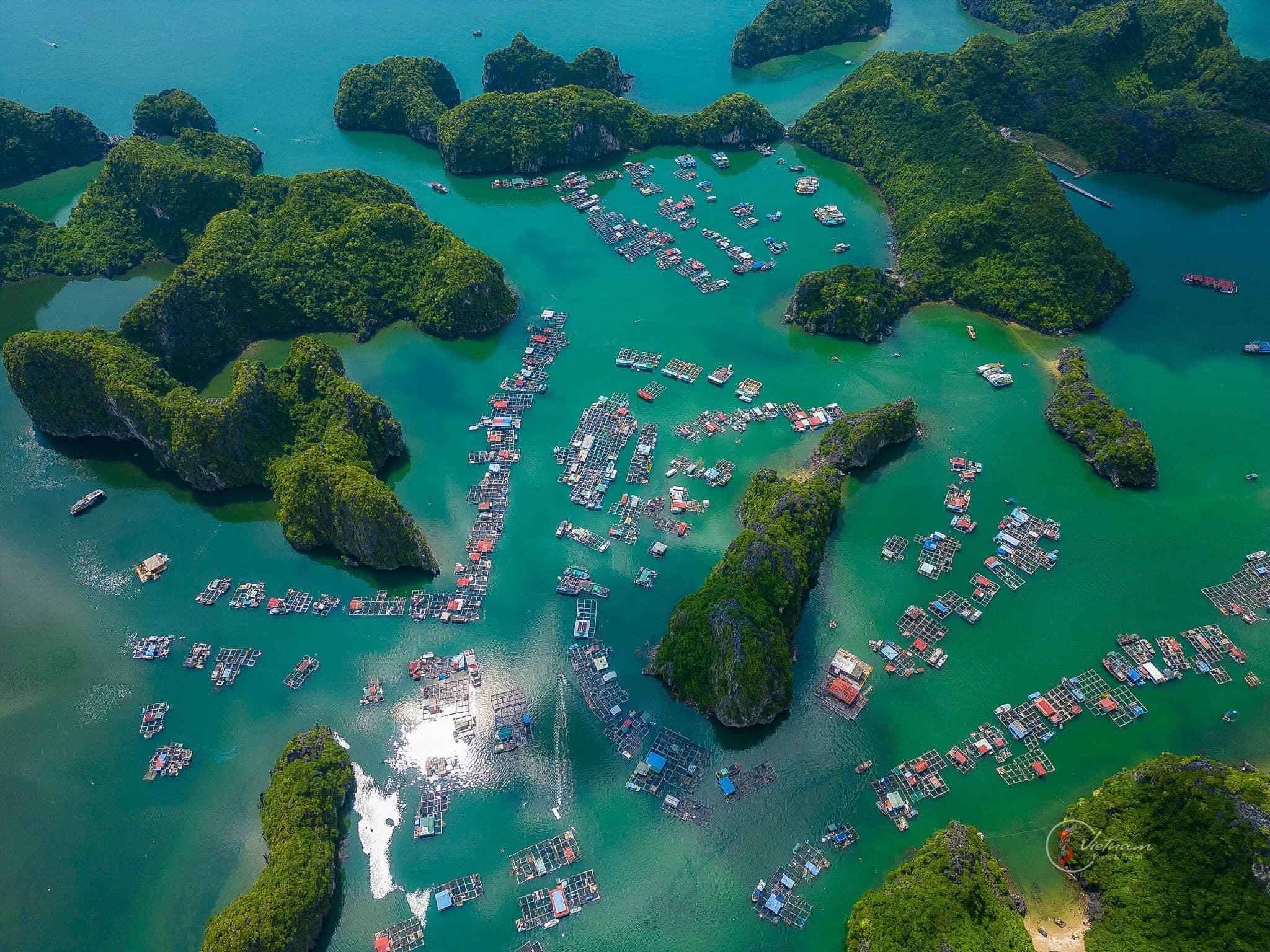 Halong Bay Overnight Cruise