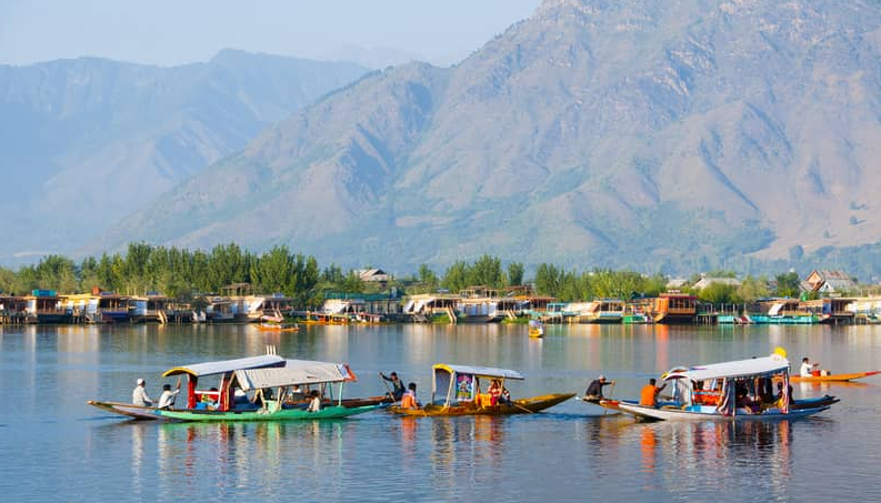 Amazing Kashmir