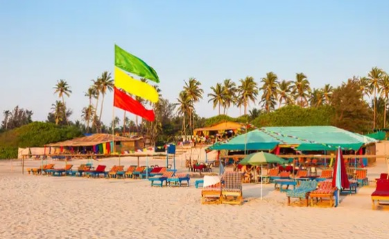 Go Goa Gone