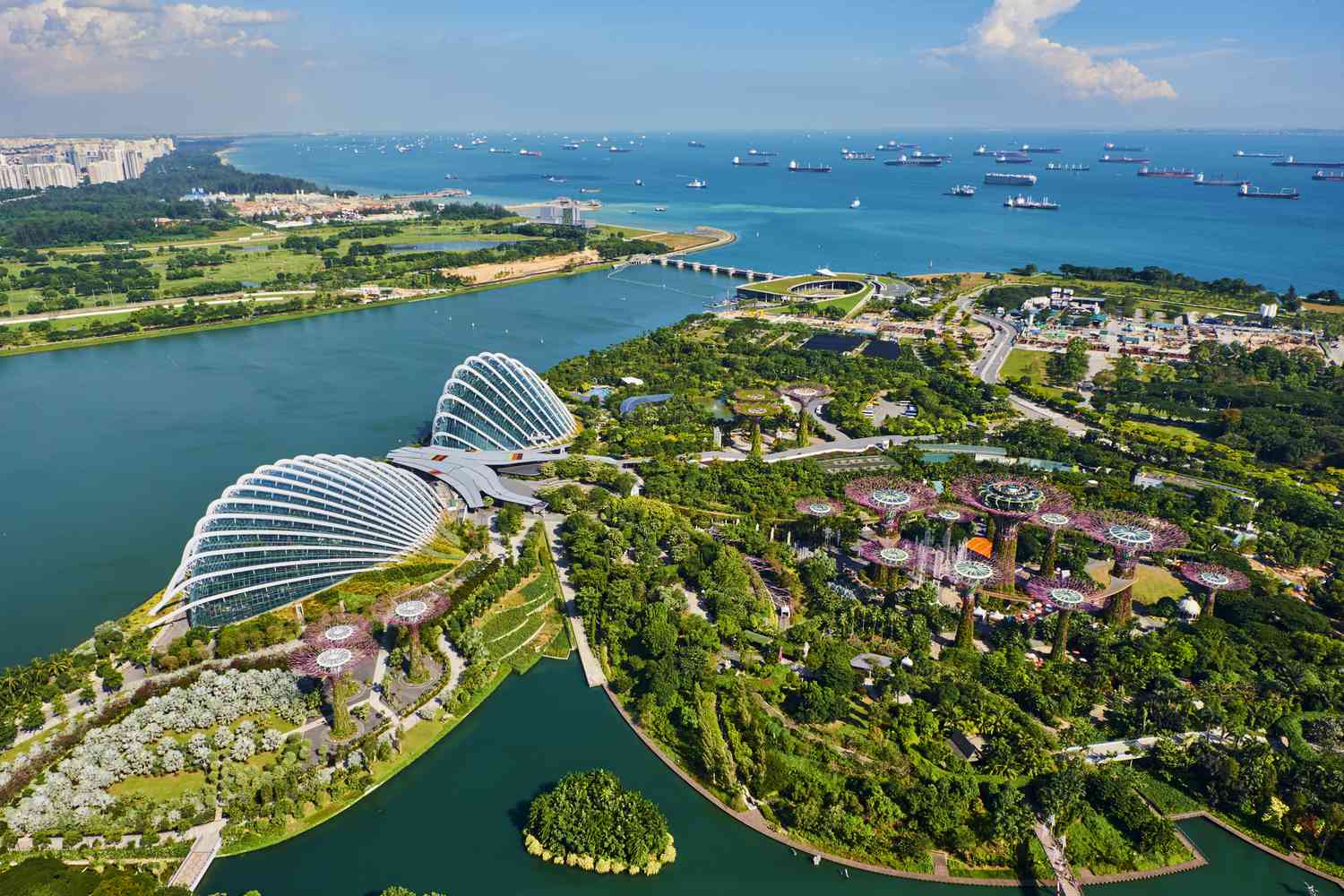 Singapore Exclusive Package