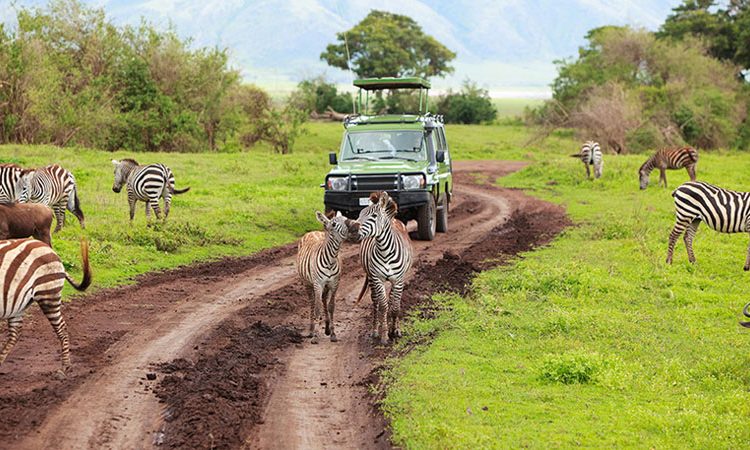 Trip Upcoming Adventures Tours To Tanzania East Africa