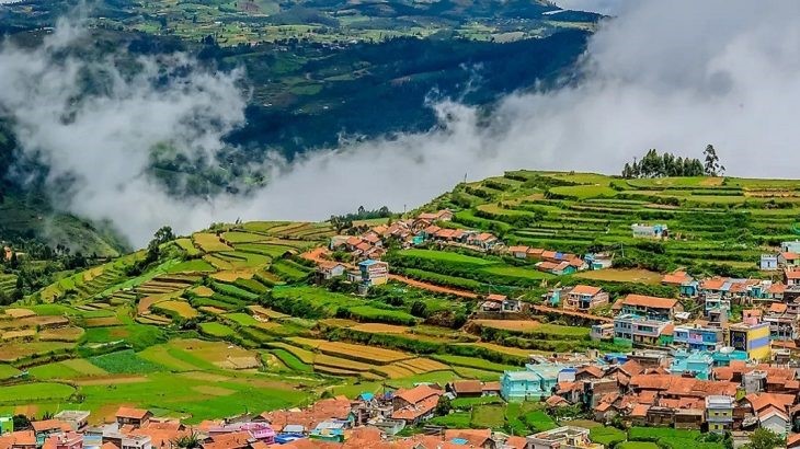 Munnar, Kodaikanal & Ooty Tour