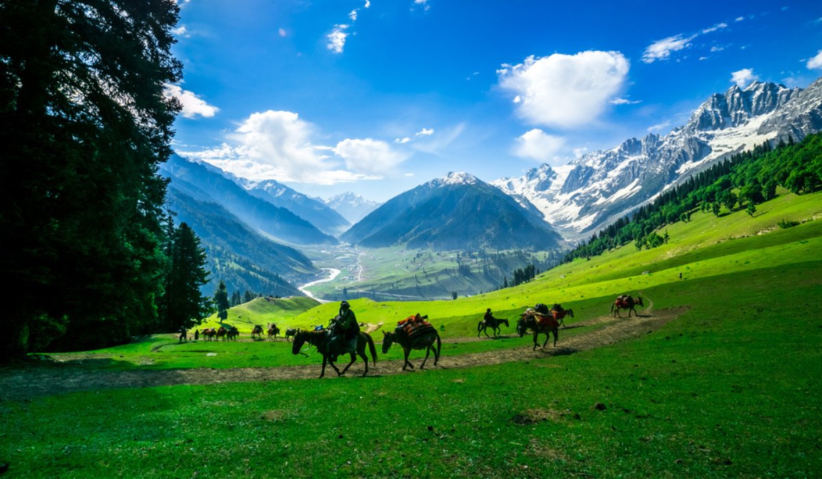 Kashmir Delight: Experiencing Nature's Treasures