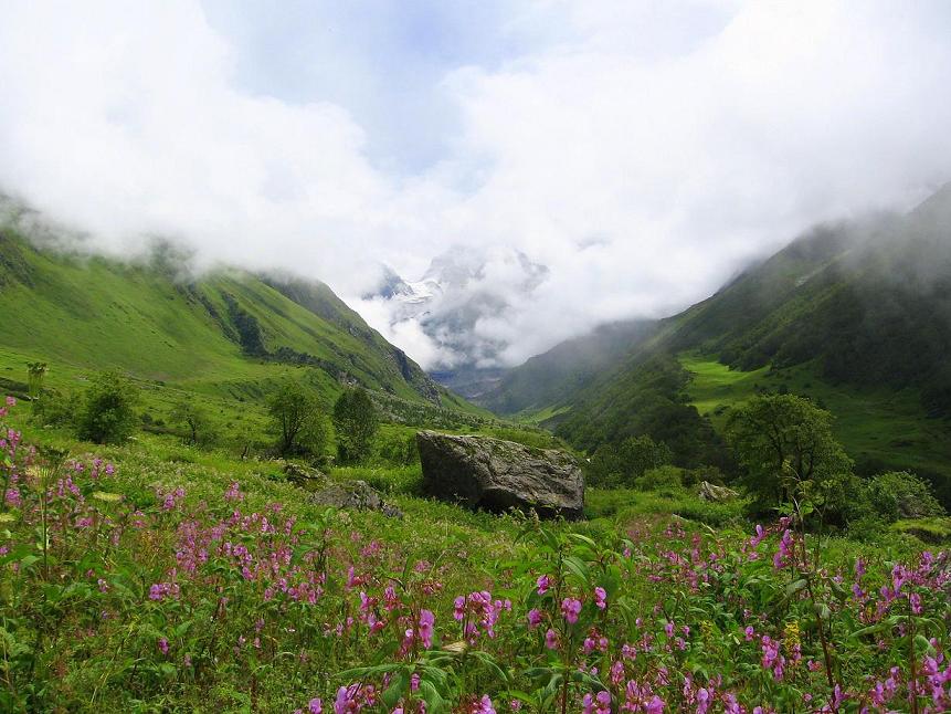 Uttarakhand and the Valley of Flowers