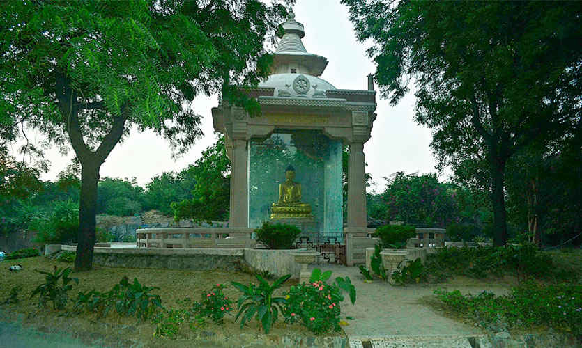 Aesthetic Delhi Ridge