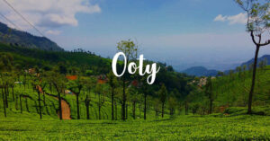 Visit In Ooty