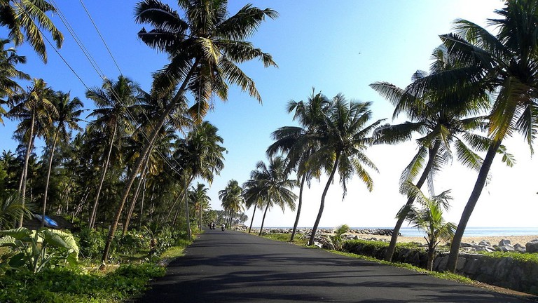 Honeymoon Destinations In Kerala