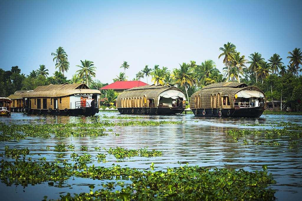 Honeymoon Destinations In Kerala