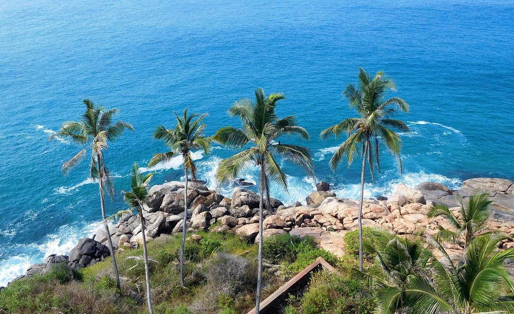 Honeymoon Destinations In Kerala