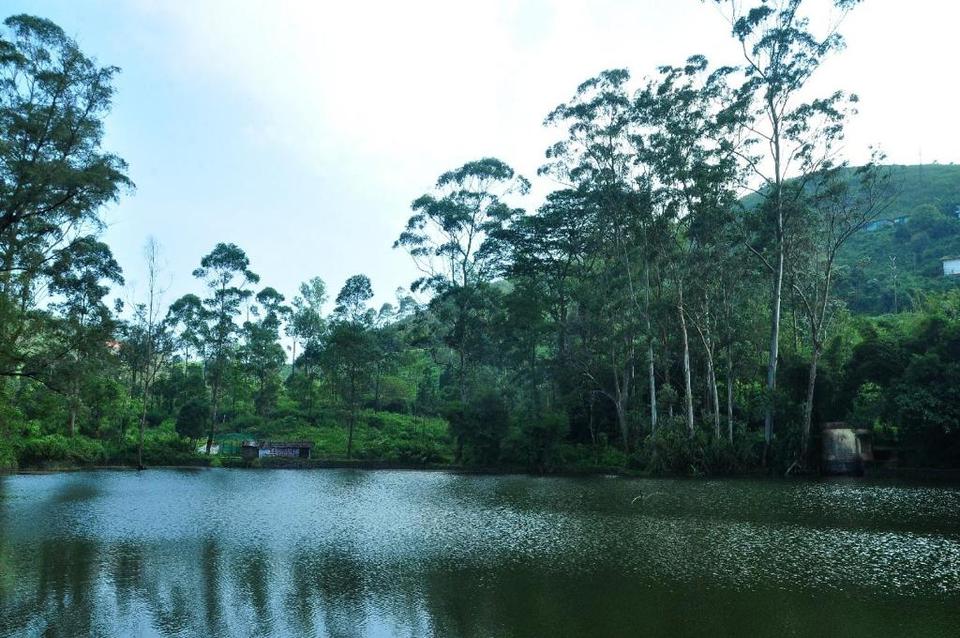 Honeymoon Destinations In Kerala