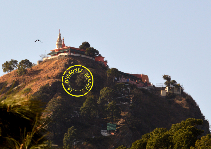 Monkey point (Kausauli)