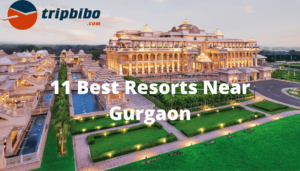 11 Best Resorts Near Gurgaon For A Luxurious Retreat