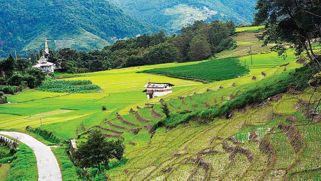 Ziro, Arunachal Pradesh