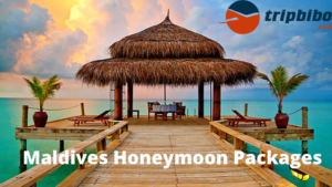50 Honeymoon Packages Of Maldives - Tripbibo