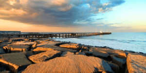 15 Things To Do In Pondicherry For Thrill And Relaxation