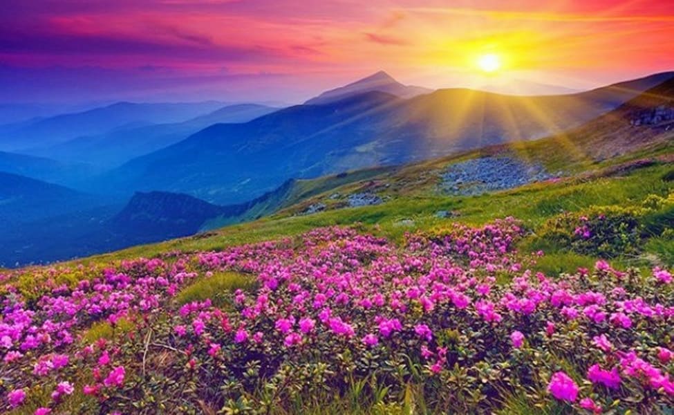 Valley of Flower, Uttarakhand