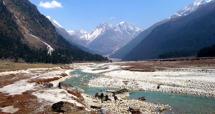 Yumthang Valley, Sikkim – The Bowl Of Flowers
