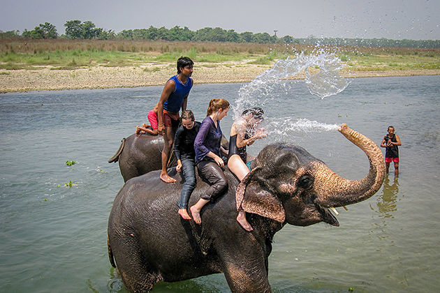 Chitwan National Park – Witness The Wildlife