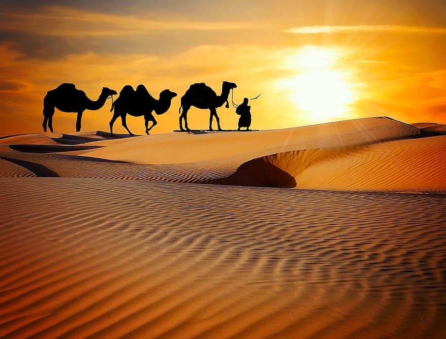  Sand Dunes, Jaisalmer – The Colors Of Royalty