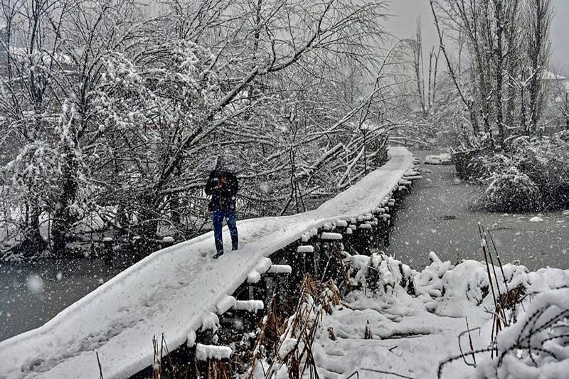 Srinagar, Jammu and Kashmir