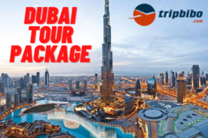 Book Top 50 Dubai Tour Packages - Tripbibo