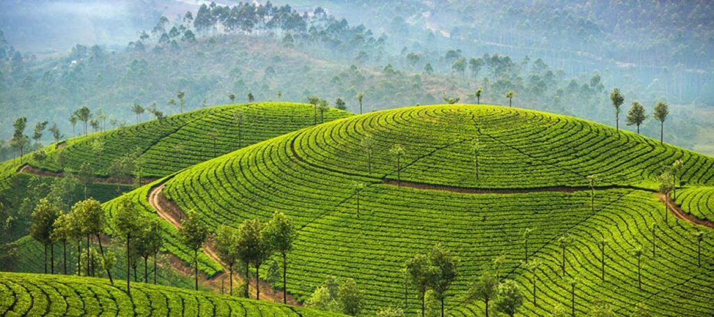 Explore Spice Garden