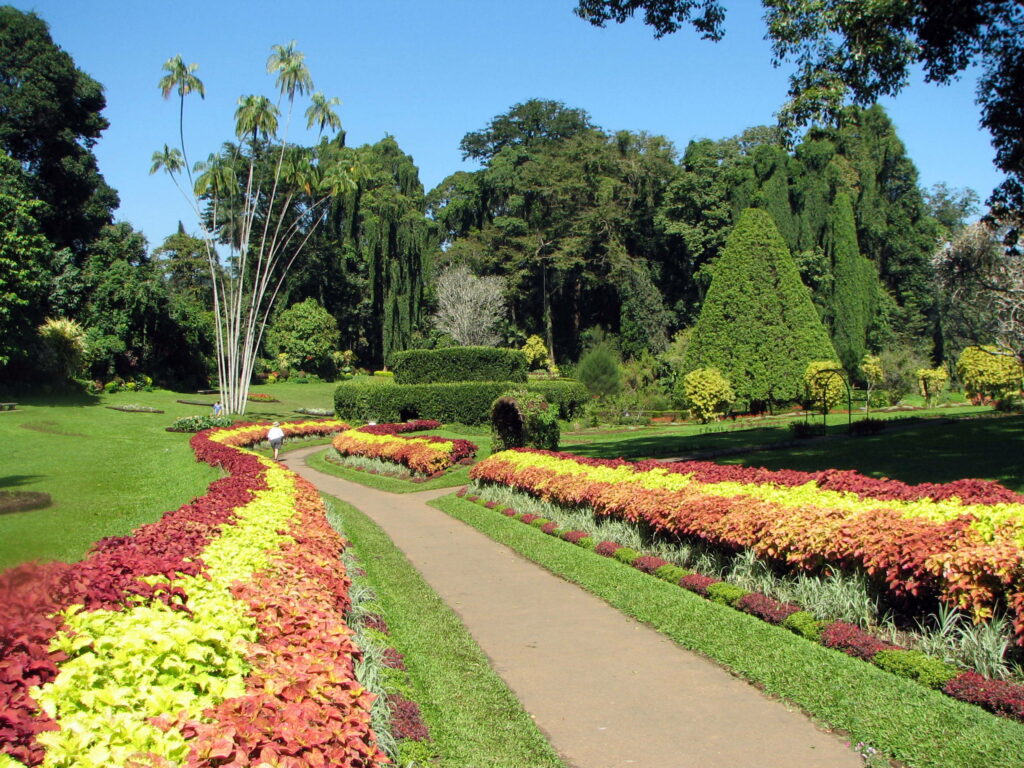 Explore Peradeniya Botanical Gardens