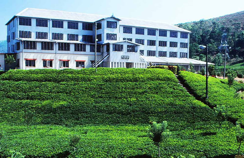  Visit Ceylon Tea Museum