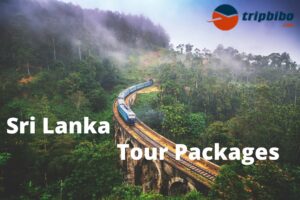 Book Top 50 Sri Lanka Tour Packages - Tripbibo