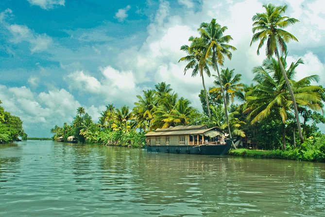 Top 14 Tourist Places To Visit In Cochin