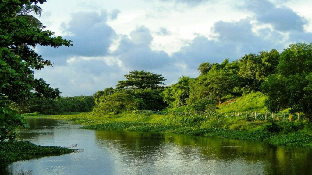 Attidiya Bird Sanctuary