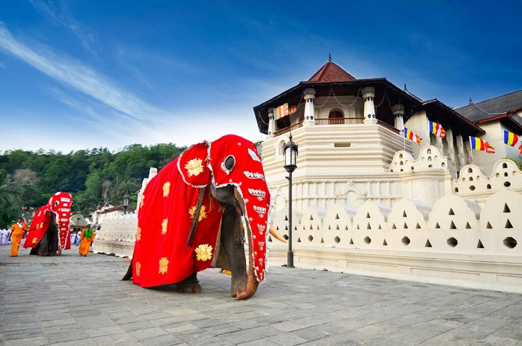 Visit The Temple of the Sacred Tooth Relic
