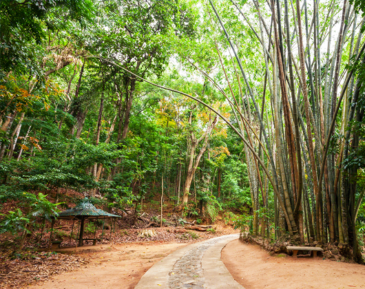 Udawattekele Sanctuary