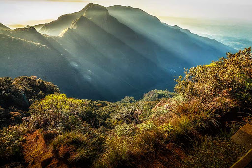  Horton Plains National Park