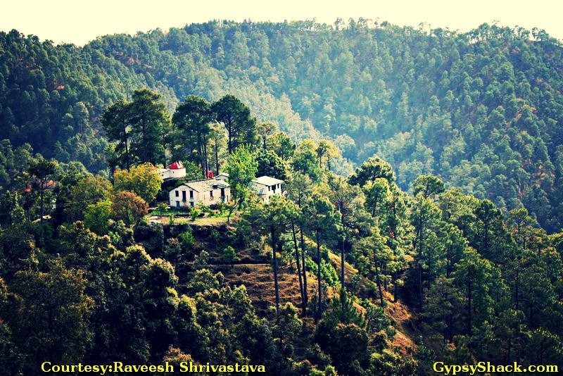 . Binsar – Lost In The Wilderness