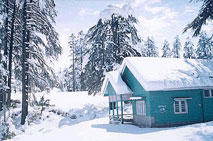 . Patnitop – Mesmerizing Vistas Of Kashmir