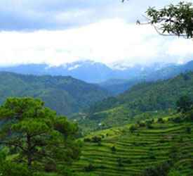 . Dhanaulti – For Peace and Solace